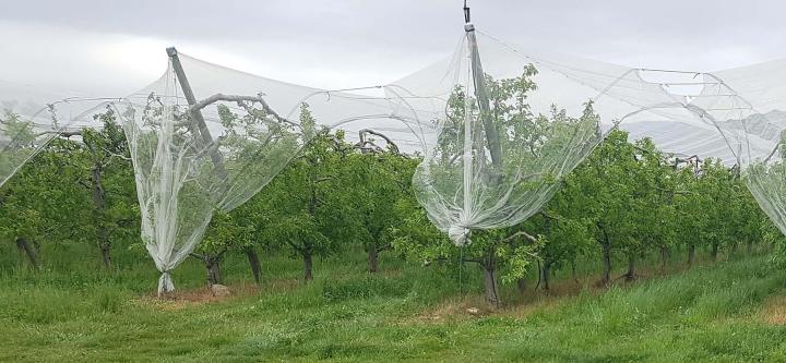 Vente de produits fermiers Mison