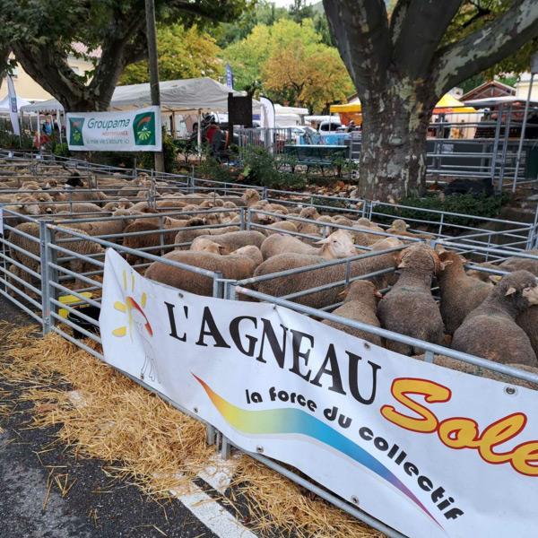 Foire du thoard Mison