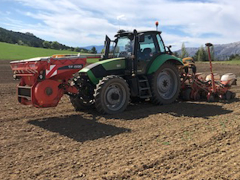Plantation de blé Mison