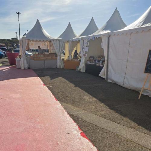 Foire de brignoles Mison